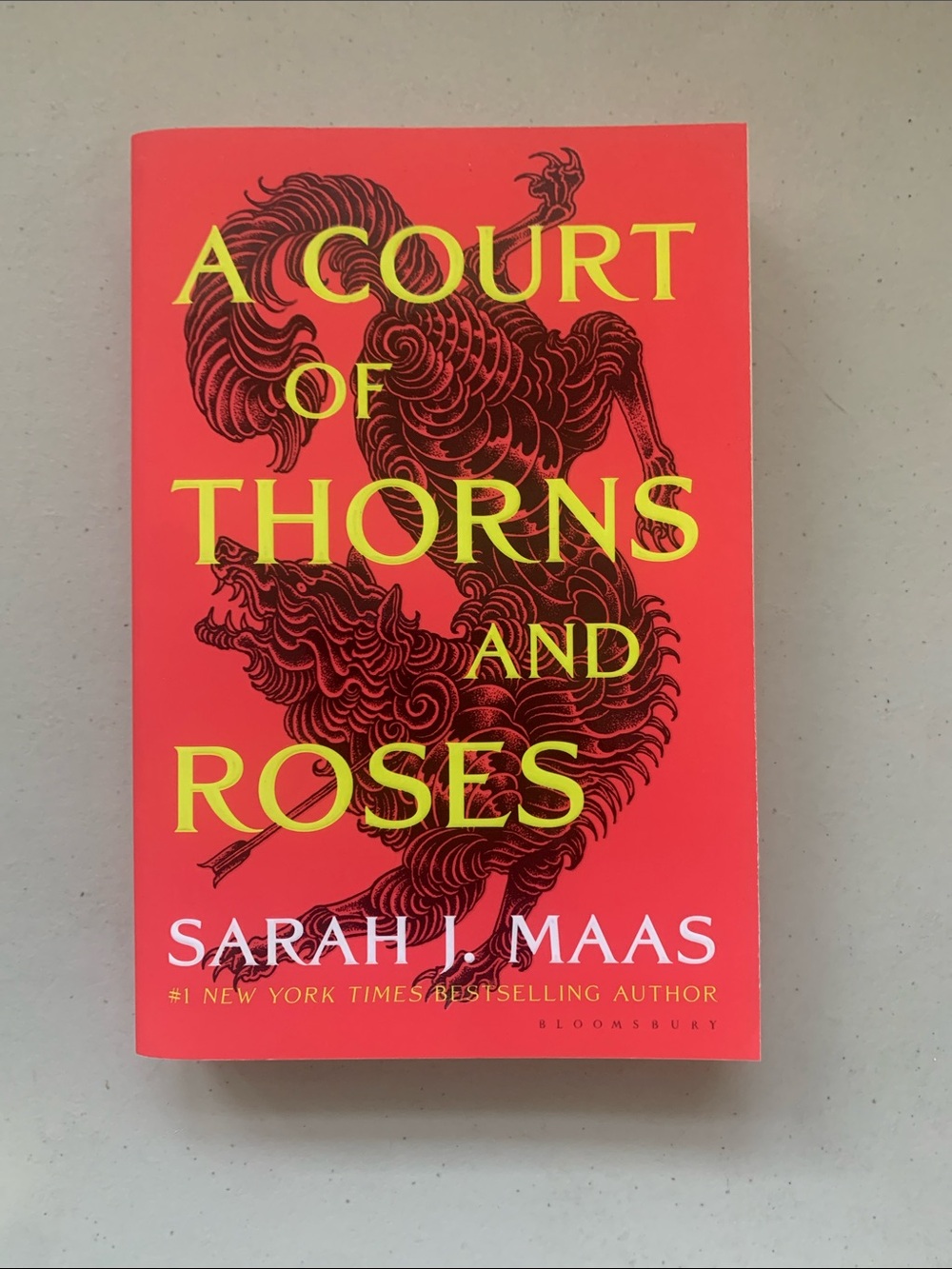 A Court of Thorns and Roses Sarah J. Maas Softcover book